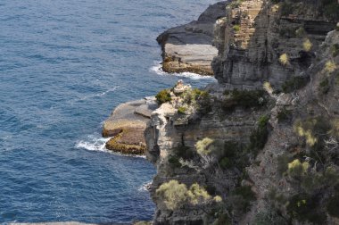 Güzel Sahili Tasmania, Avustralya
