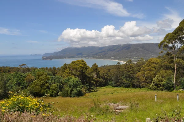 Vackra kusten i Australien. Tasmanien. — Stockfoto