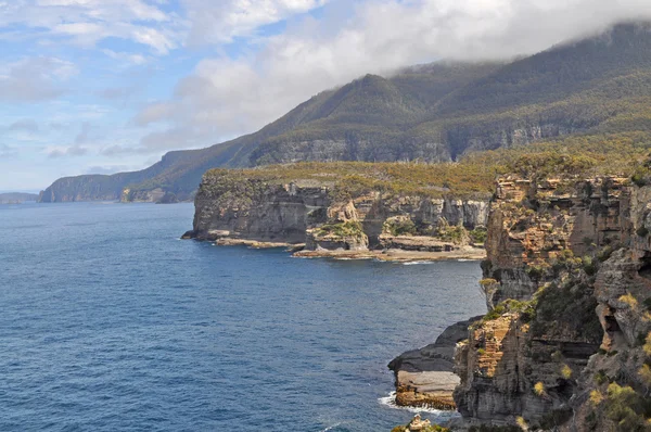 Prachtige kustlijn in Tasmanië, Australië — Stockfoto