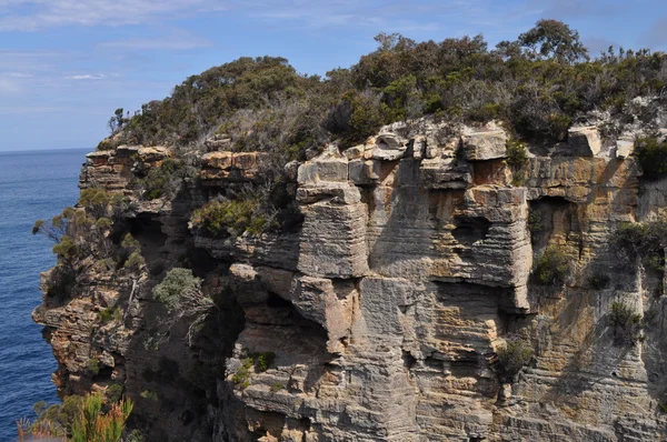 Güzel Sahili Tasmania, Avustralya — Stok fotoğraf