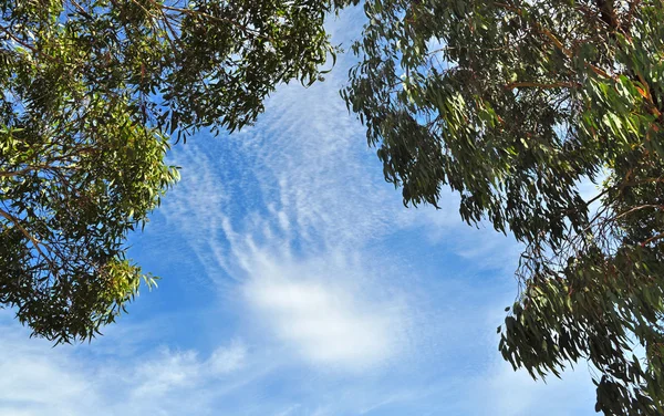 Cielo blu con nuvole in primo piano. Abstract. sfondo — Foto Stock