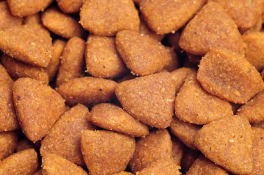 Kuru Köpek Gıda, yakın çekim vurdu