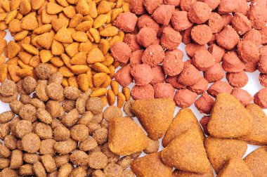 Çeşitli kuru köpek maması yakın çekim, beyaz arka plan üzerinde izole