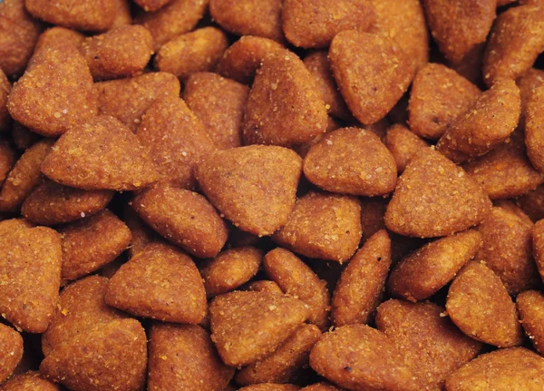 Kuru Köpek Gıda, yakın çekim vurdu