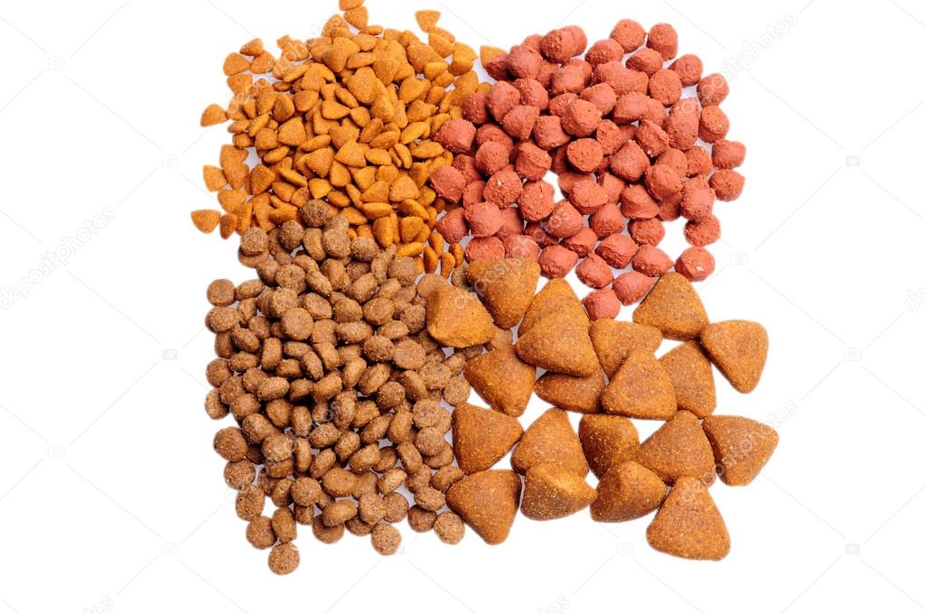 Assorted Dry dog food close up, isolated on white background
