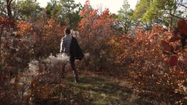Yoğun sonbahar ormanlarında dalları nazikçe kenara iten bir adamın arka görüntüsü. Sıcak güneş ışığı, portakal yaprakları ve doğal açık hava atmosferi..