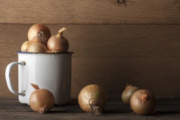 Lök med vintage järn mugg — Stockfoto