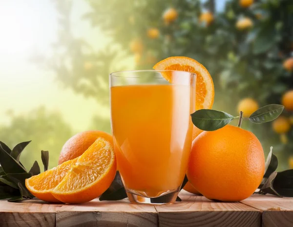 Apelsinjuice — Stockfoto