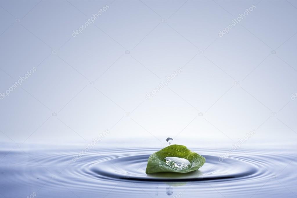 Leaf falling in the water