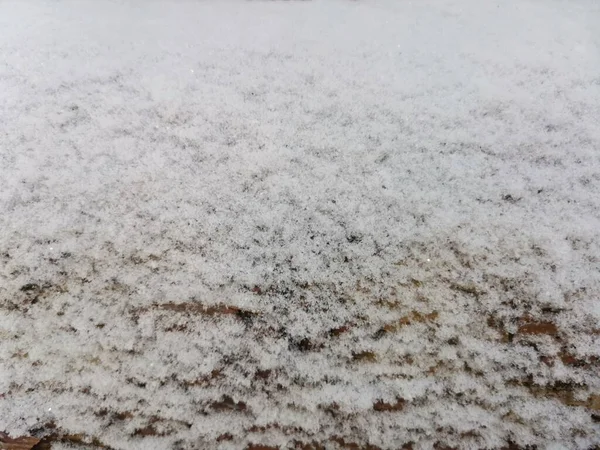 Texture of snow-covered tree full-frame horizontal image — Stock Photo, Image