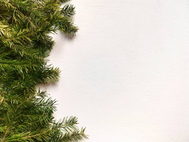 Beyaz arkaplanda metin için yeri olan gerçek köknar filizleri