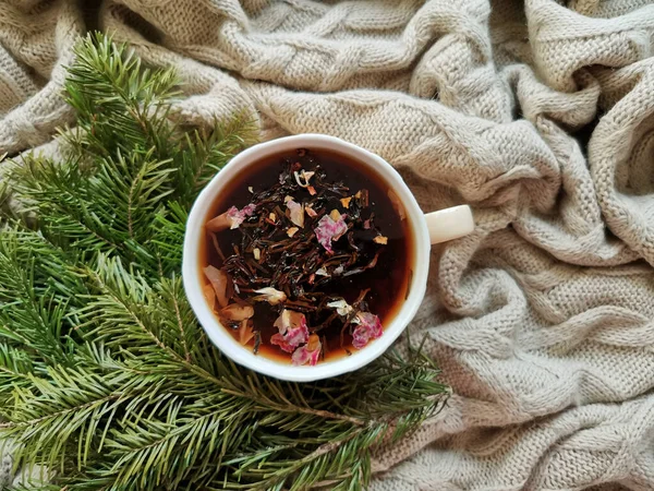 Taza de té y ramitas de abeto en una manta de punto. concepto tarjeta postal de felicitación de invierno. teñido cálido — Foto de Stock