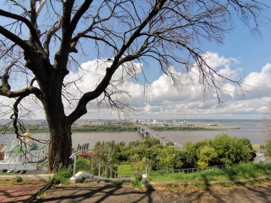 Oki ve Volga Okları 'nın arka planındaki yaşlı ağaç Nizhny Novgorod' un tarihi merkezinde doğal bir cazibedir.