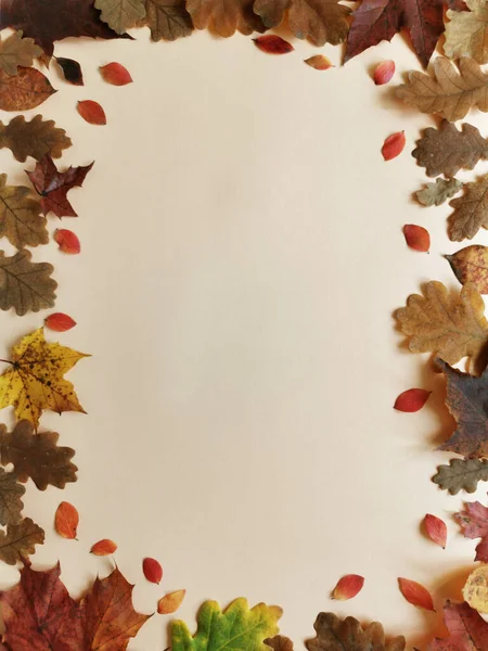 autumn frame for text from fallen leaves on a gentle background. Autumn concept. place for text