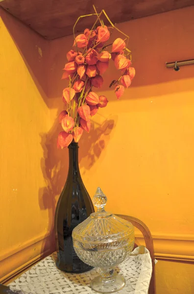 Pobočka physalis do vázy na stůl — Stock fotografie
