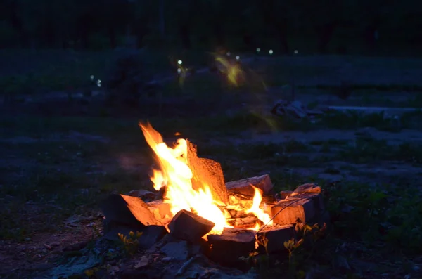 Ночной пожар во дворе — стоковое фото