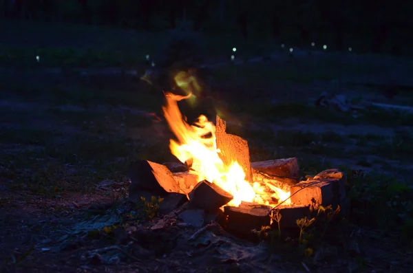 Ночной пожар во дворе — стоковое фото