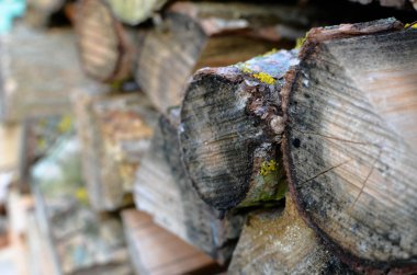 Doğal ahşap arka plan - kıyılmış yakacak odun closeup