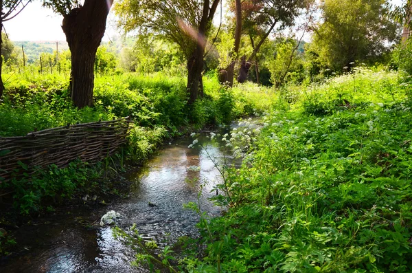 Pequeño río limpio y verdes bancos cubiertos — Foto de Stock