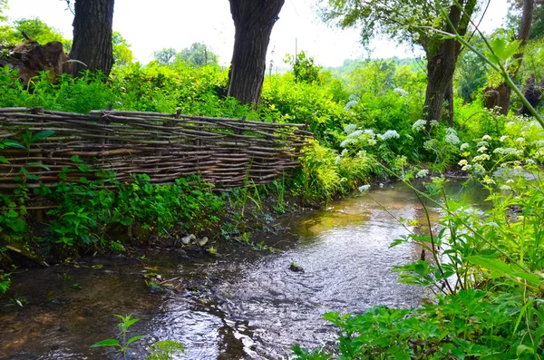 Pequeño río limpio y verdes bancos cubiertos — Foto de Stock