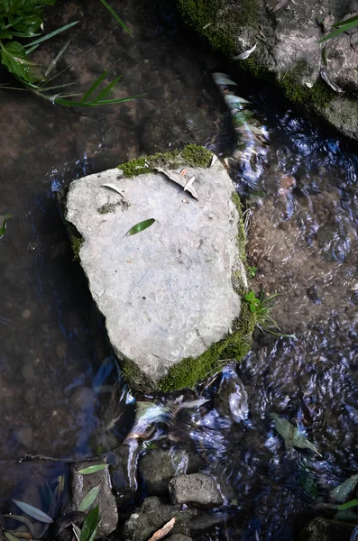 Batu besar di dasar sungai — Stok Foto