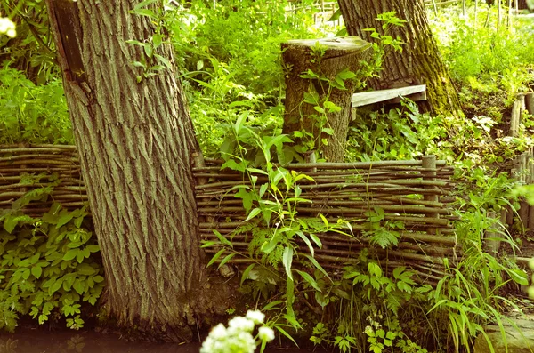 Cerca con el árbol detrás, otras plantas y el río —  Fotos de Stock