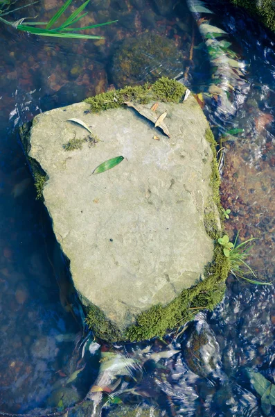 Batu besar di dasar sungai — Stok Foto