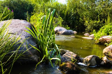 Orman, nehir ve Ukrayna'da taşlar, yatay