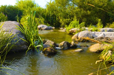 Orman, nehir ve Ukrayna'da taşlar, yatay