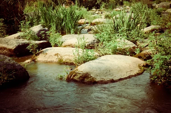 Paisaje con bosque, río y piedras en Ucrania — Foto de Stock