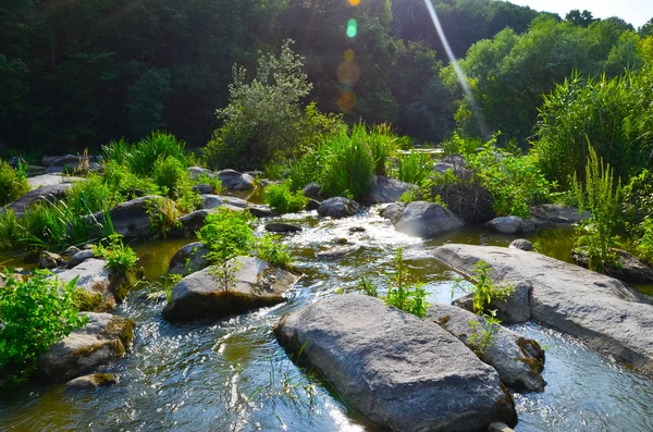 Paisaje con bosque, río y piedras en Ucrania — Foto de Stock