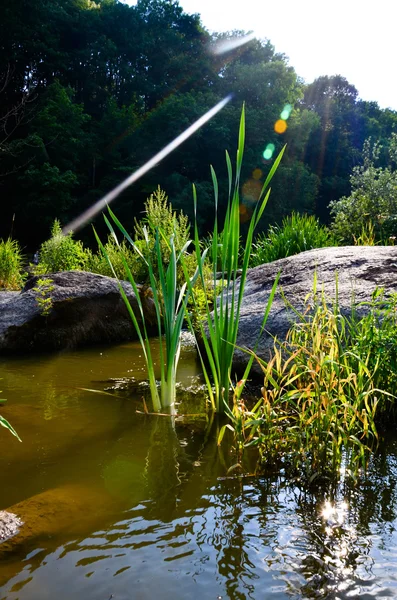 Paisaje con bosque, río y piedras en Ucrania — Foto de Stock