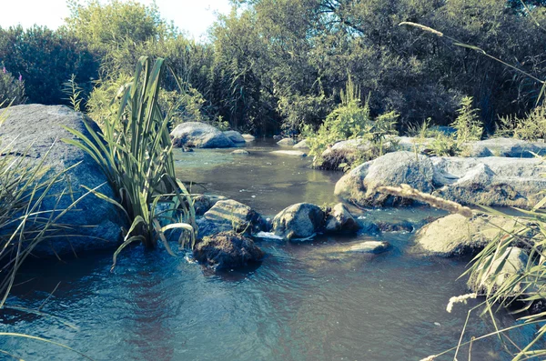 Paisaje con bosque, río y piedras en Ucrania — Foto de Stock