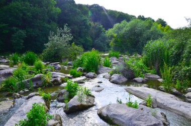 Orman, nehir ve Ukrayna'da taşlar, yatay