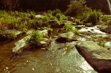 Orman, nehir ve Ukrayna'da taşlar, yatay