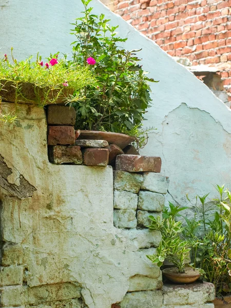 Muur met rijen van manden vol planten gebruikt voor isolatie moderne huizen en kantoren — Stockfoto