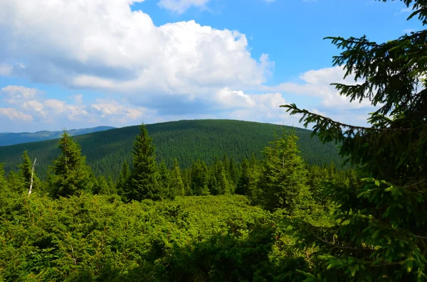 Letní krajina v horách a tmavě modrá obloha s mraky — Stock fotografie