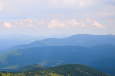 Dağ yamacındaki puslu kayın ormanı bir doğa koruma alanıdır..