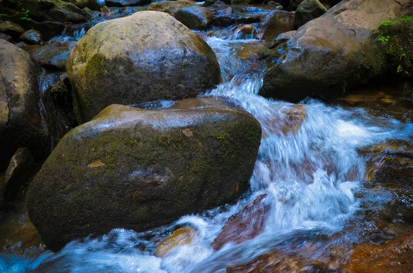 Mountain valley with river in the summer time — Stock Photo, Image