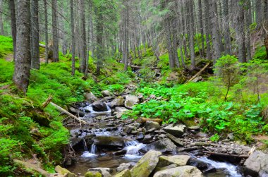 Yaz saati nehirde dağ Vadisi