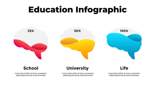 Инфографика человеческого мозга. Создание новых идей. Концепция образования с тремя периодами - школа, университет и жизнь. Шаблон векторного слайда. Творческая иллюстрация. — стоковый вектор