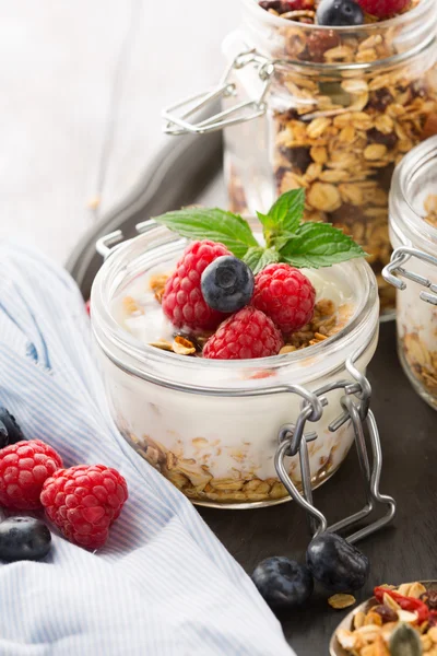 Healthy breakfast - homemade granola adn fresh berries — Stock Photo, Image