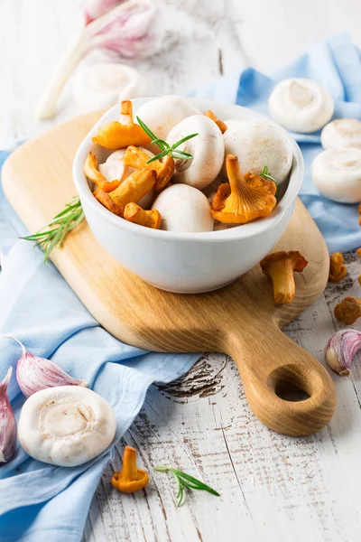 Fresh mixed mushrooms — Stock Photo, Image