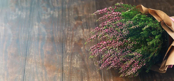 美しい新鮮なヘザーの花 — ストック写真