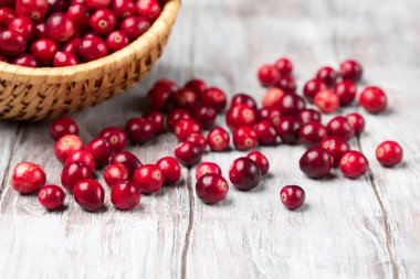 Hasat taze kırmızı kızılcık