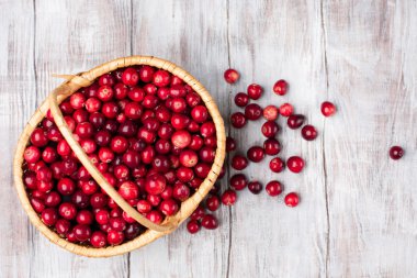 Hasat taze kırmızı kızılcık