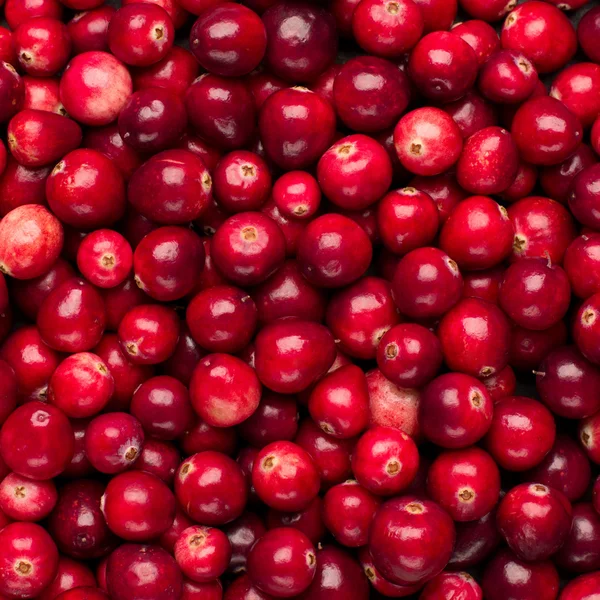 Fondo rojo fresco de arándanos maduros —  Fotos de Stock