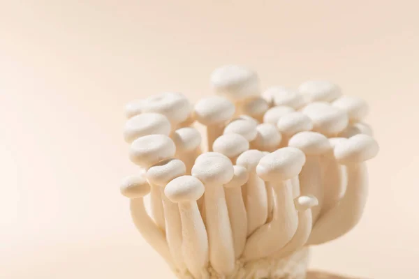 Świeże Grzyby Shimeji Białe Buki Pastelowym Beżowym Papierowym Tle Superfood — Zdjęcie stockowe