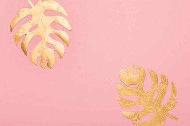 Bayram tebrik kartı şablonu. Altın tropik yapraklar Monstera 'nın boş pembe arka planında. Noel, yeni yıl, doğum günü konsepti. Düz konum, üst görünüm, kopyalama alanı.