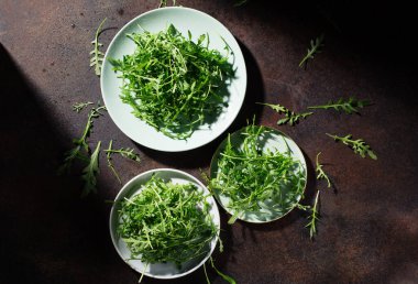 Koyu yeşil ahşap arka planda roka roka salatası. Üst görünüm, boşluğu kopyala. Taze sağlıklı yiyecekler, diyet konsepti. 